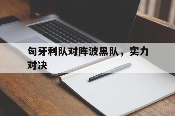 匈牙利队对阵波黑队，实力对决